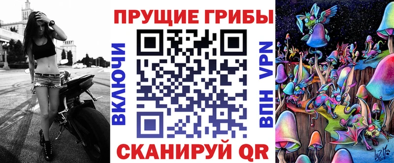 Галлюциногенные грибы прущие грибы  наркота  мега ТОР  Трубчевск 